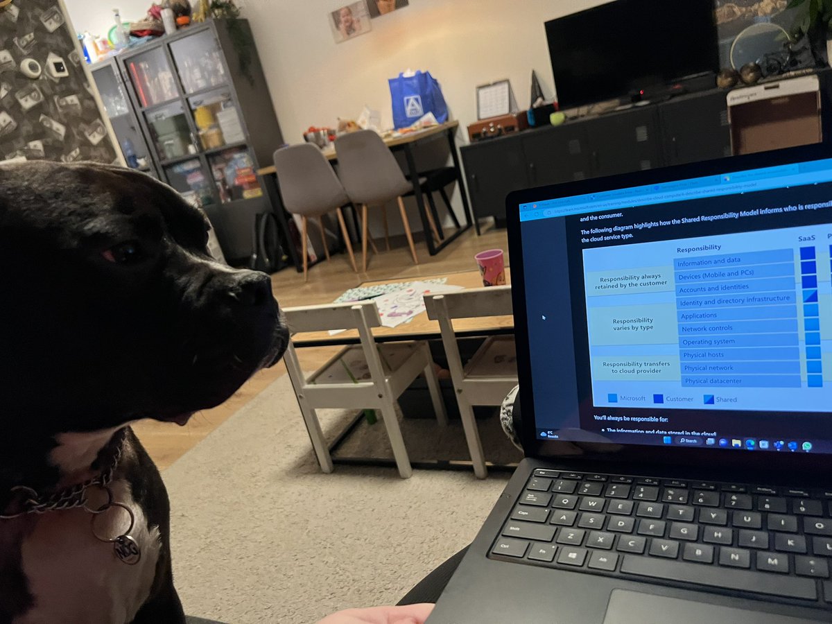 CynthiaRoke's tweet photo. My studybuddy for the #az900 https://t.co/LUcQtjjlYd