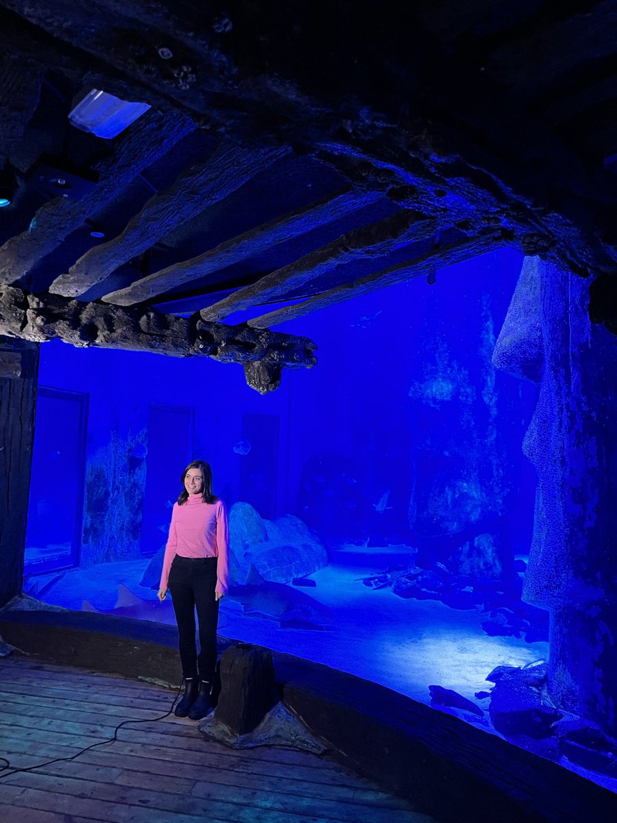 Join <a href="/LucyWeather/">Lucy Verasamy</a> live from outside our shark tank and see feeding time with our Gentoo penguins on the ITV Evening News on ITV1 after 7pm this evening