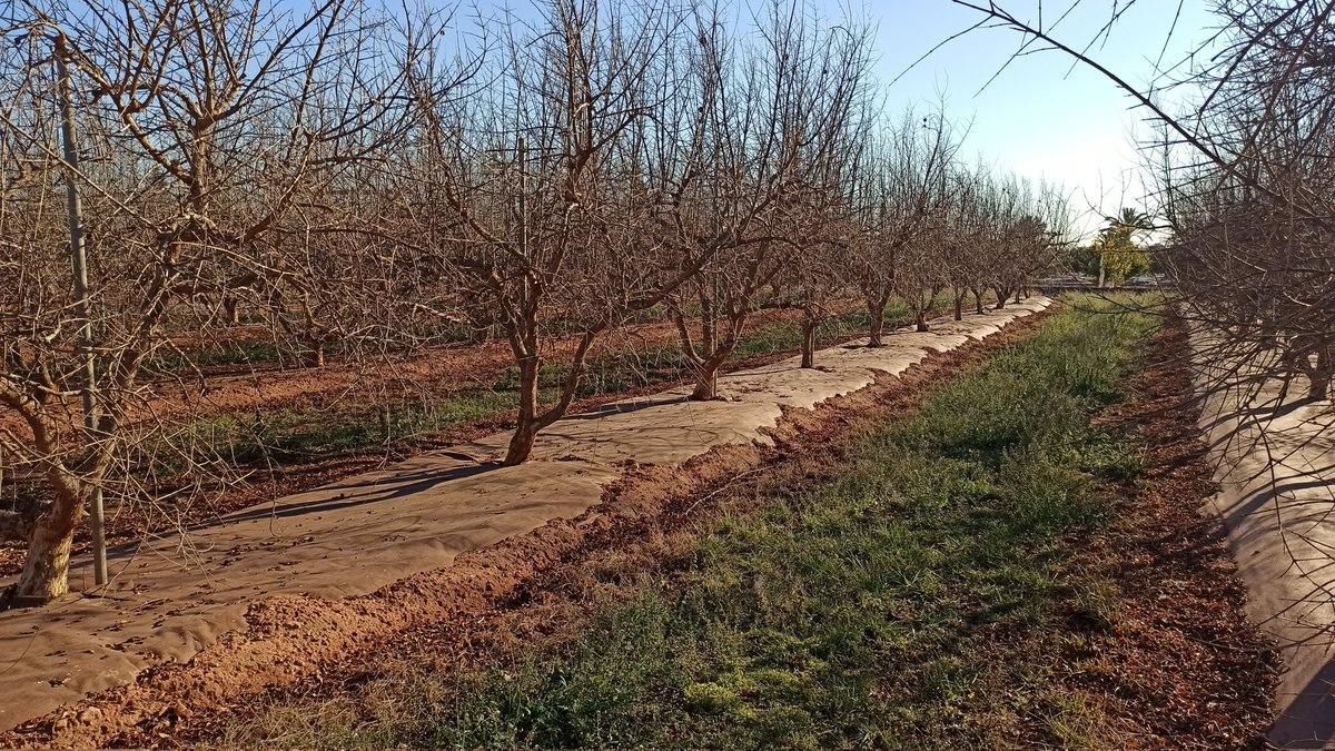 anacanoarribas's tweet photo. @Bouquet_es gracias por acoger una jornada extraordinaria sobre infraestructuras ecológicas organizada por @CoopsAgroCV a la que han asistido mas de 70 profesionales de la #RedAtriaCV https://t.co/1L8qUqY0w8