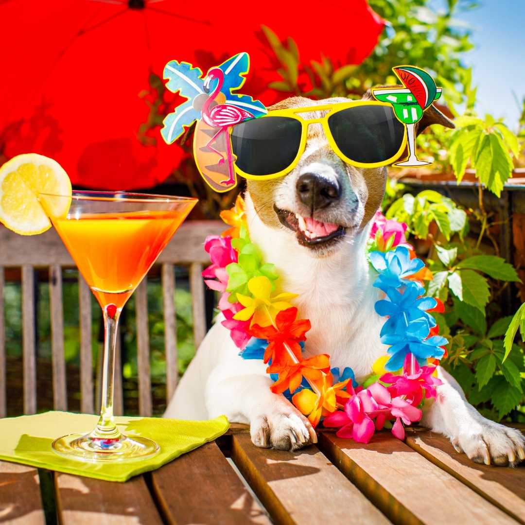 HoustonHumane's tweet photo. TONIGHT!! Happy Hour Social at Cedar Creek Bar &amp; Grill from 6 pm-8 pm.
https://t.co/BeLDU5PCI2

#YAP #happyhour #thursdayvibes #stufftodoinhouston #thingstodoinhouston #drinks https://t.co/09cJQb4POS