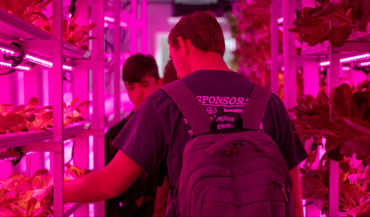 KY Dept of Education tweet media