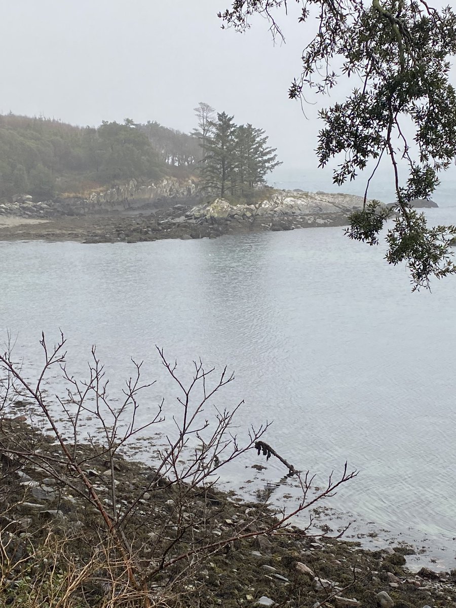 Mollkos's tweet photo. Day 33 Back to Dunboy today. Got caught in a heavy shower but it was worth it #100daysofwalking @NewstalkFM Day 1494 #1500daysofwalking #365daysofwalking https://t.co/yhBbM7WU86
