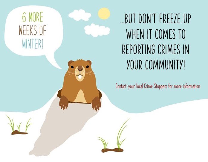 Contact your local Crime Stoppers program to submit tips. #crimestoppers #SilentWitness #silentobserver #crimeline P3Tips.com **TIPS