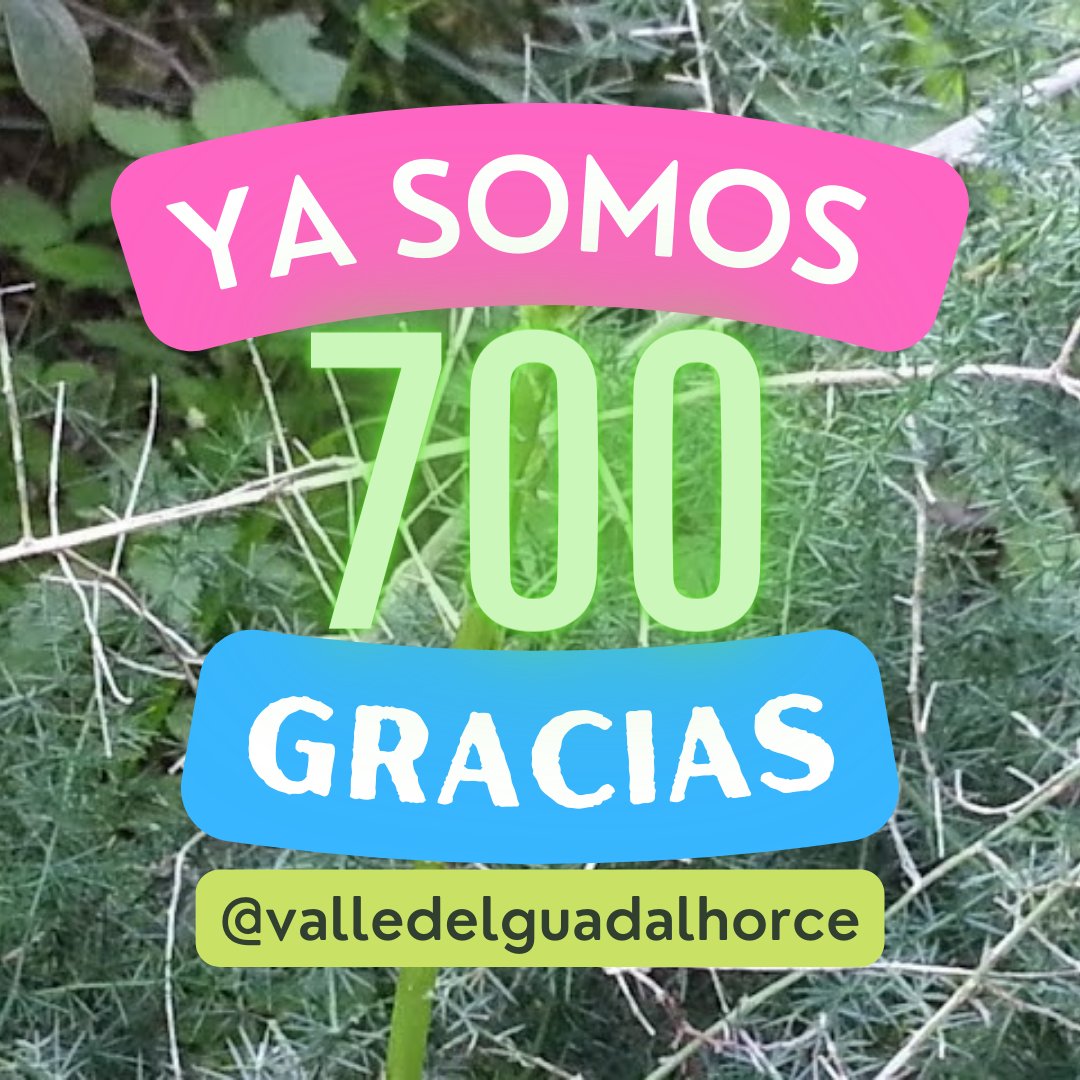 ¿Aún no nos sigues en Instagram?
instagram.com/valledelguadal…

Ya somos 700 y eso nos anima a seguir compartiendo contenidos.

#Graciasporseguirnos #GraciasValledelGuadalhorce #ValledelGuadalhorce #ValledelGuadalhorceMagazine #valledelguadalhorcemálaga #NoticiasValledelGuadalhorce