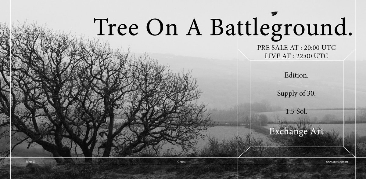 Solus 🍄 | Stronghold Validator tweet media