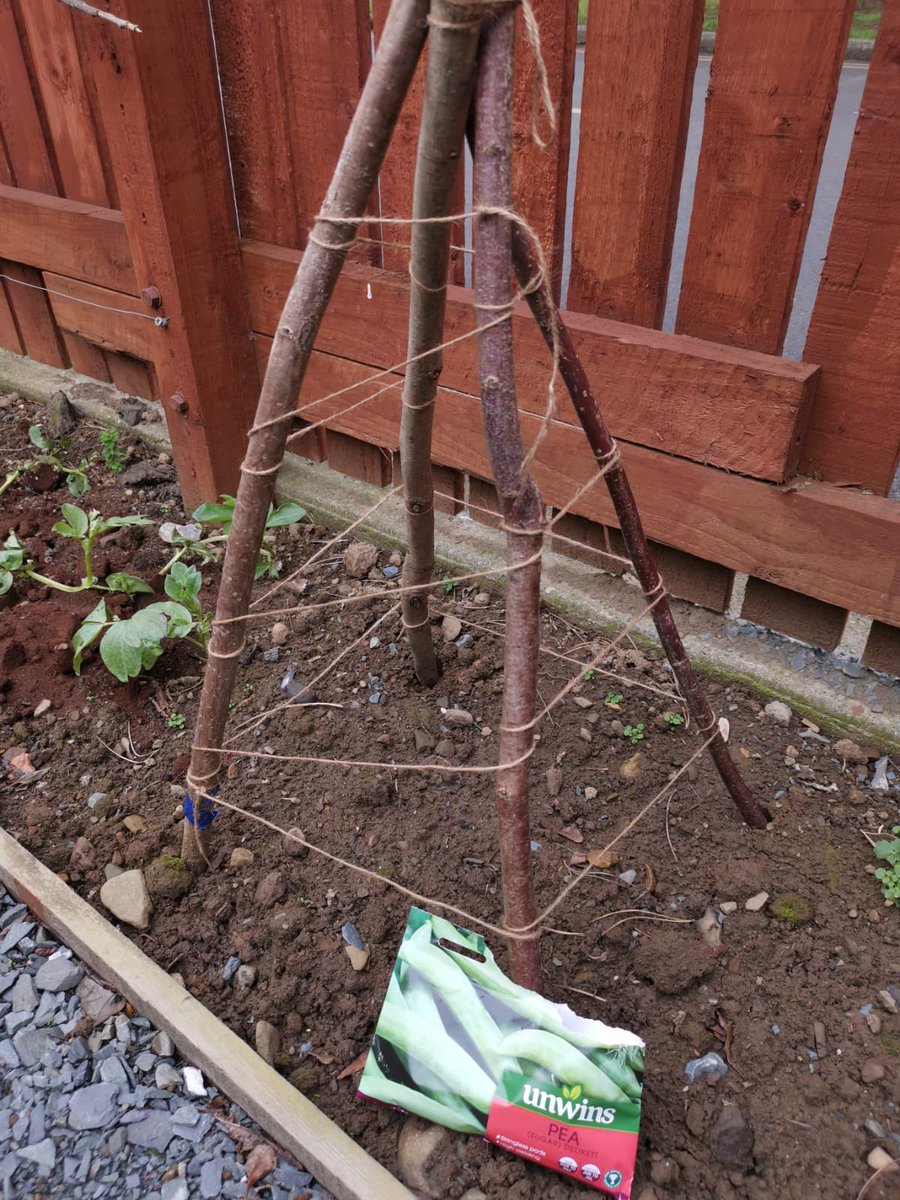 SESEMarinoIE's tweet photo. Fantastic work being done in the @MarinoInstitute community garden by #BEd3 students and @DonegalPaul9 #SESE #Sustainability #SpringInTheAir https://t.co/y8nFBLqntV