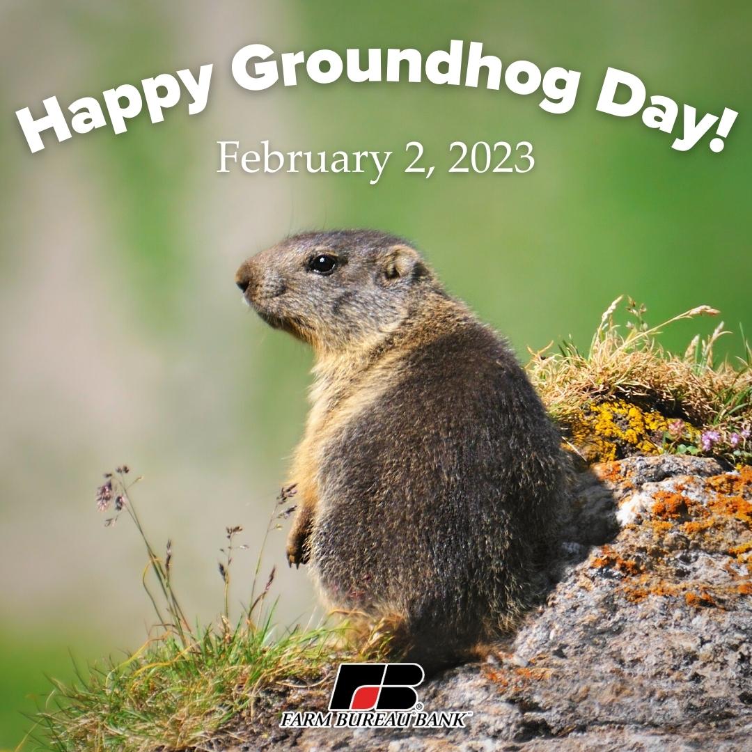 Farm Bureau Bank tweet media