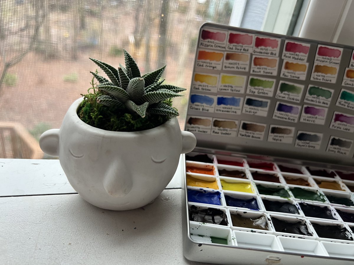 danidonovan's tweet photo. I was so happy that after YEARS of accidental plant murder, I’d finally managed to keep one alive

But upon closer inspection this morning, it turns out I’ve been watering a fake succulent for the last 5 months

☠️☠️☠️ https://t.co/QFQsEaA34s