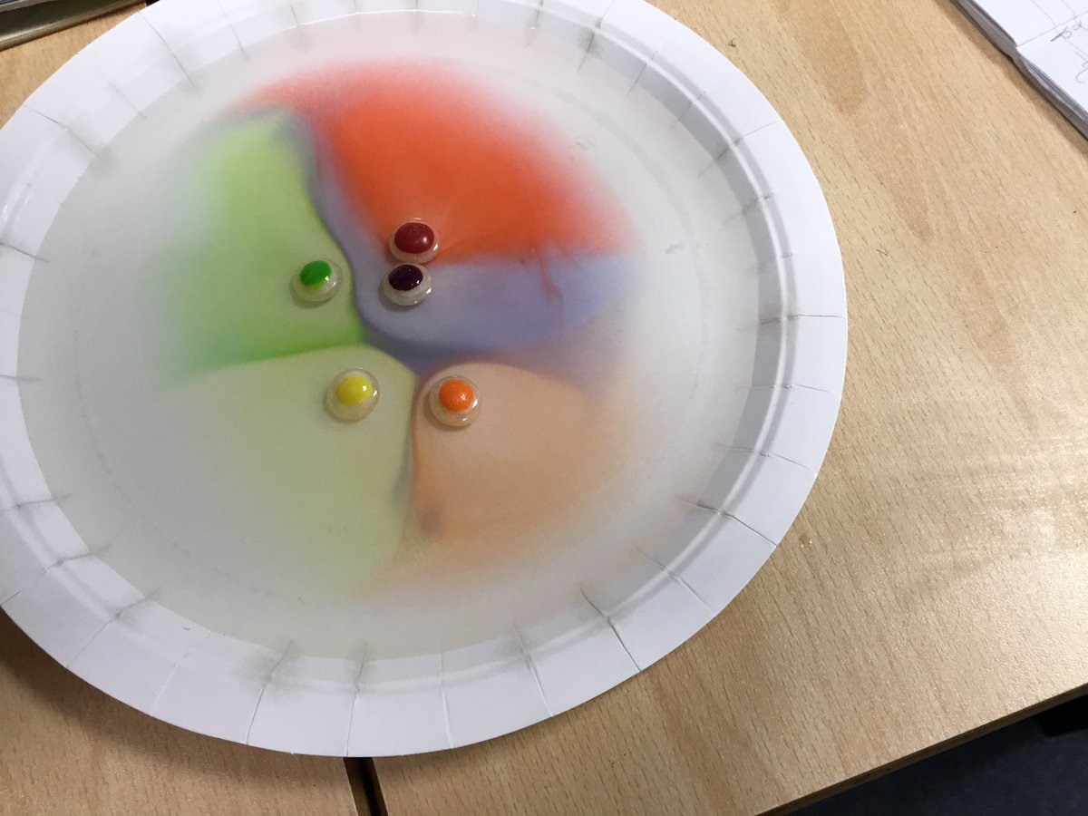 Today we used skittles to demonstrate how nutrients are absorbed from our food to our bodies. Some skittles may have been consumed as part of this investigation (for scientific purposes, clearly).
