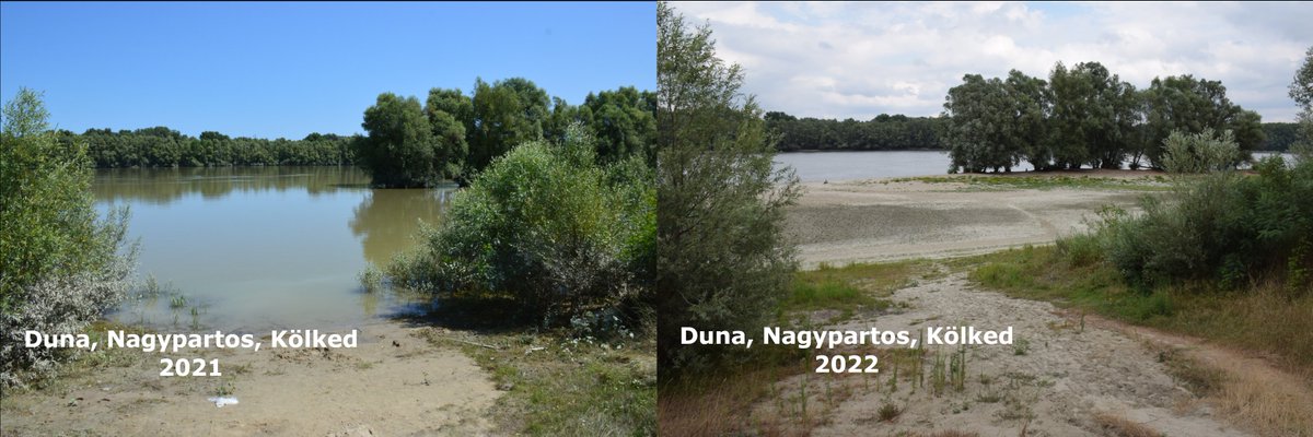 Hydrobiology_UP tweet picture