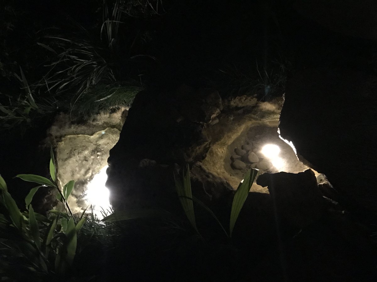 Eclairage enrochement, végétation
#domolighting #eclairageexterieur #outdoorlighting #lumiere #eclairage #lighting #riprapLighting #vegetationLighting