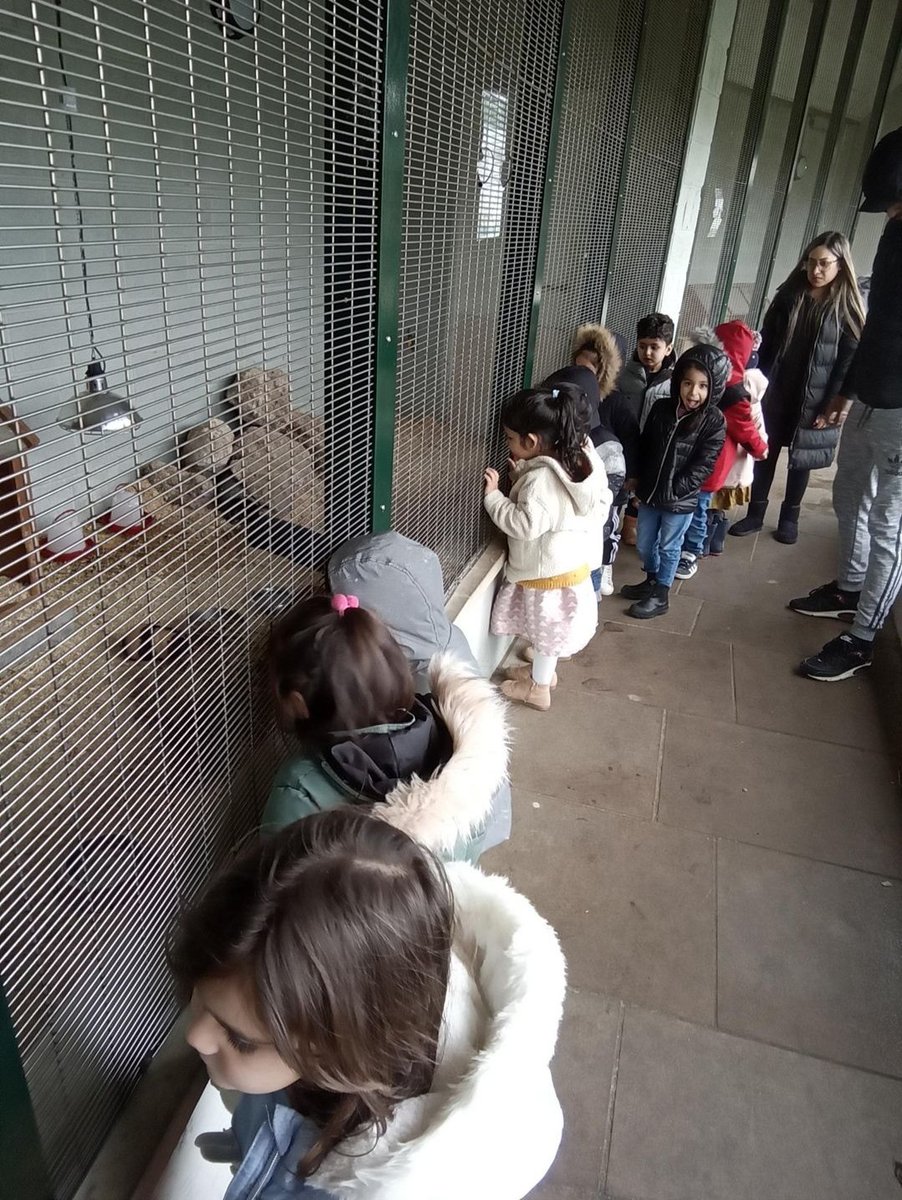 Today we went out on the mini bus to Cliffe Castle. When we arrived we went to see the birds and rabbits the children were very excited. The helper was very kind and took out the rabbit and Guinea pig for us to have a closer look,the children were gentle when stroking the animals
