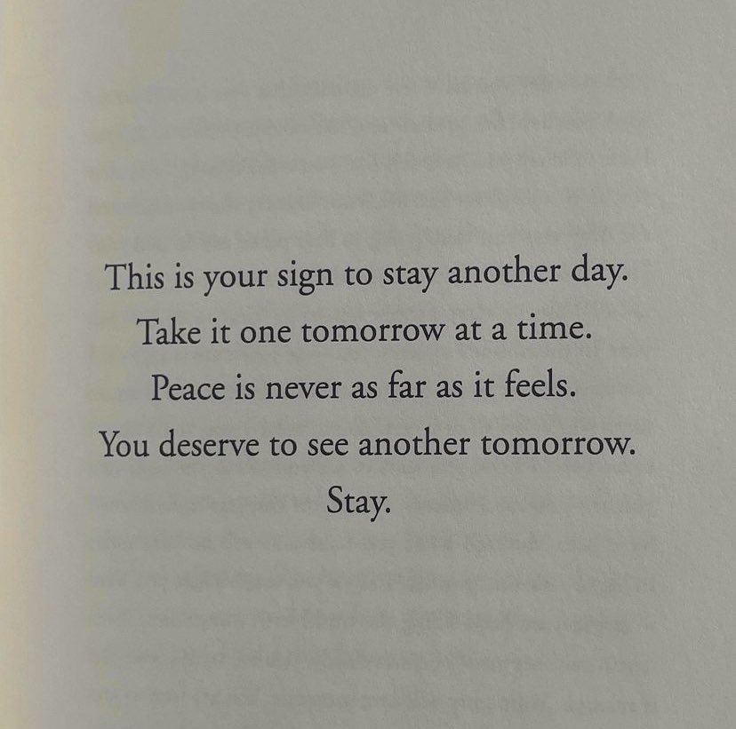 books 📖 tweet media