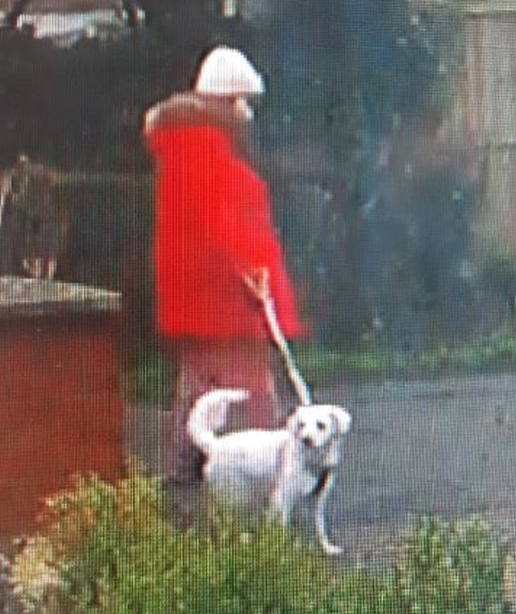 Roger Johnson tweet media