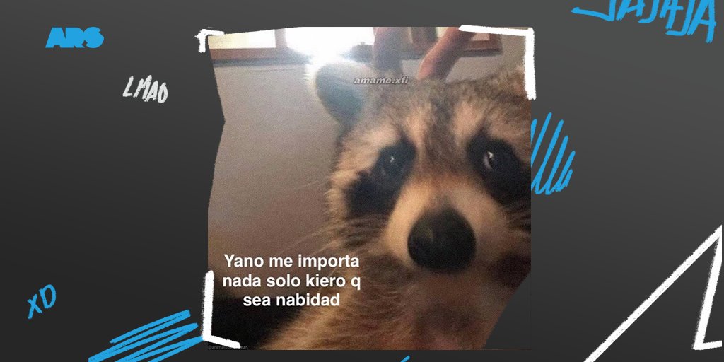 Tweet dedicado a los que sienten que los memes son parte de su personalidad: