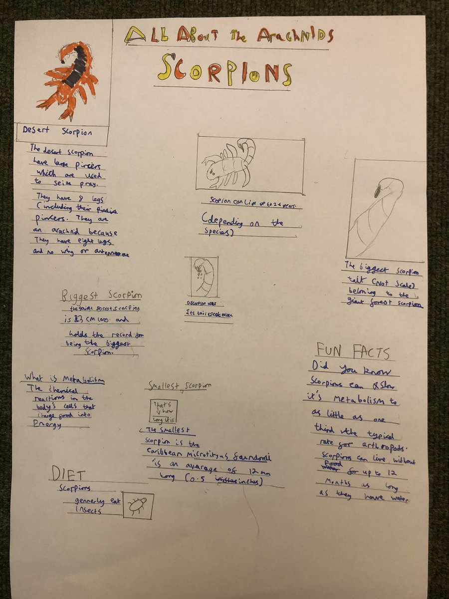 Felbridge Primary School tweet media