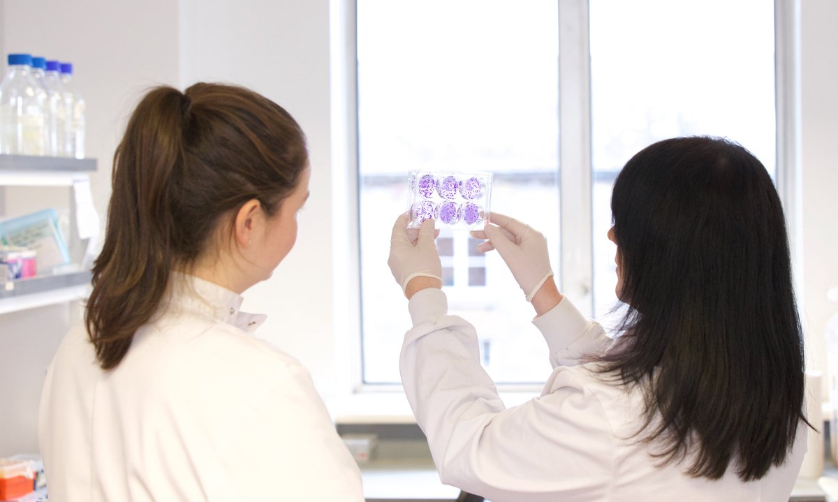 CancerInstIRE's tweet image. Interested in pursuing a PhD at Trinity College Dublin? Trinity St James’s Cancer Institute would like to hear from you to explore opportunities.  Please contact thecancerinstitute@tcd.ie with your CV and expression of interest #TSJCI #TrinityResearch