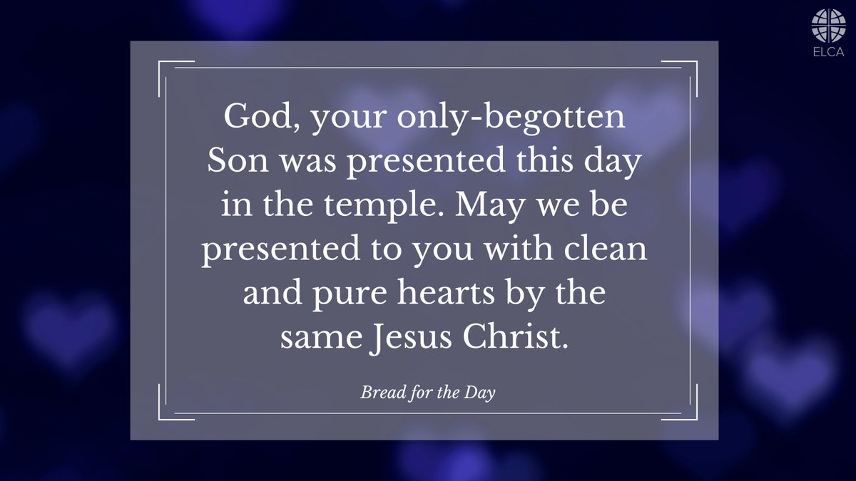 Today we celebrate the Presentation of Our Lord. Forty days after Christmas we mark the day Mary and Joseph presented him in the temple in accordance with Jewish law.