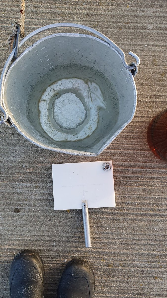 S13T0523 16:04 4,0°C SAL 11,1