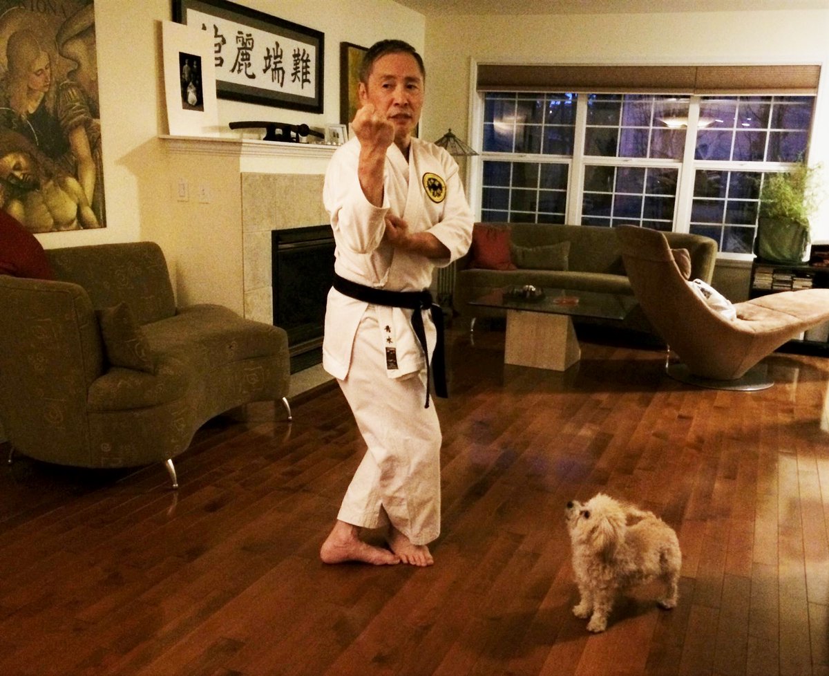 A reminder that I will be giving a free one-hour Zoom introduction to Seibukan karate this Sunday, 5 February, at 1100 Mountain Time.

If you'd like to take part, please DM or e-mail to nantanreikan@gmail.com.

Murphy will say hello, too.