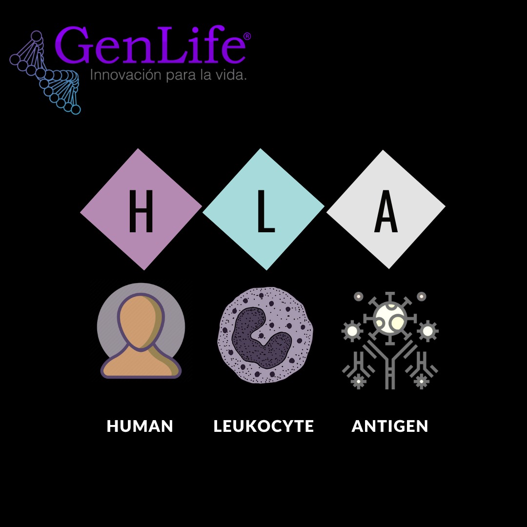 GENLIFE tweet media