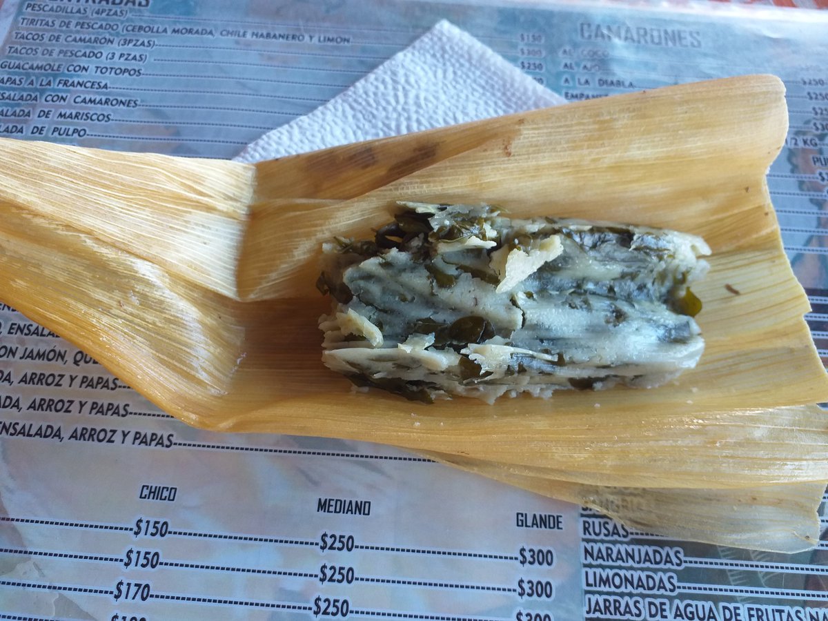 deliha25's tweet photo. Feliz #DiaDeLaCandelaria #Febrero2 #TamalDeChipilín #AMLO
#TradicionesMexicanas Desde #PuertoEscondido un delicioso tamal de chapulín... ¡Abrazo! https://t.co/8NHZbswoR4