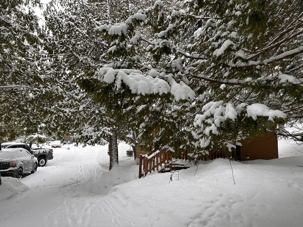 Fluffy snow today at your Muskoka lodge! ☃️