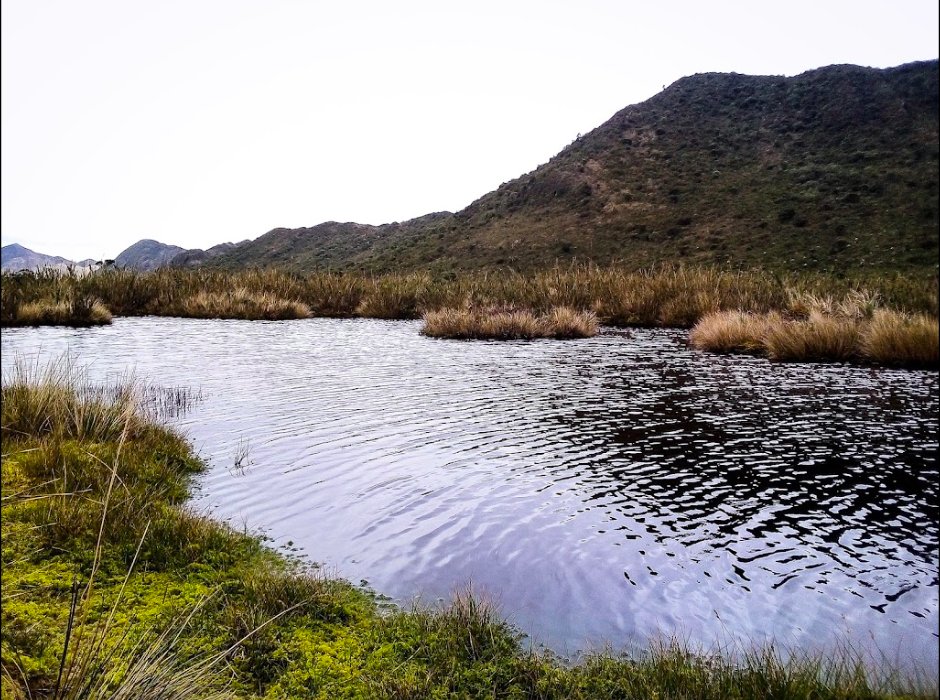 humedalesbogota's tweet photo. Humedal Laguna Cansa Patos, en la localidad de San Cristobal #DiaMundialDeLosHumedales  👉 https://t.co/MDAzl1OqNI https://t.co/BseS3YGto5