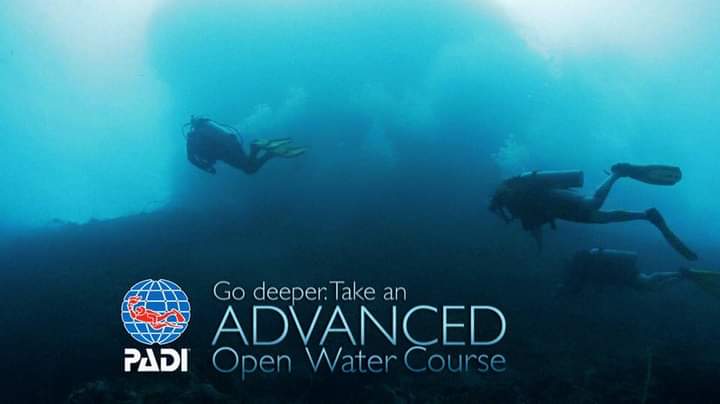 NarcosisScubaCe's tweet photo. #Advancedopenwater @NarcosisScubaCe #PADI #takeaclass #scubadiving #tarponsprings #LoveFL https://t.co/LHlYR63Own https://t.co/WMpwxgN47q