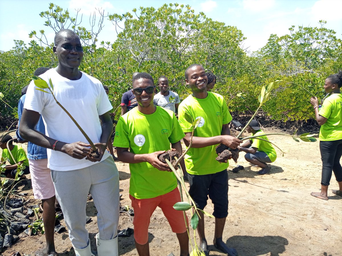 The team did it again during the #WetlandsRestorationKilifi. Young people have decided to take part fully in the #WetlandsRestoration #PACJA #KPCG23 @PACJA1 @AWEEF_UNEP @Women_Win @kenya_climate @RamsarConv @VSOKenya