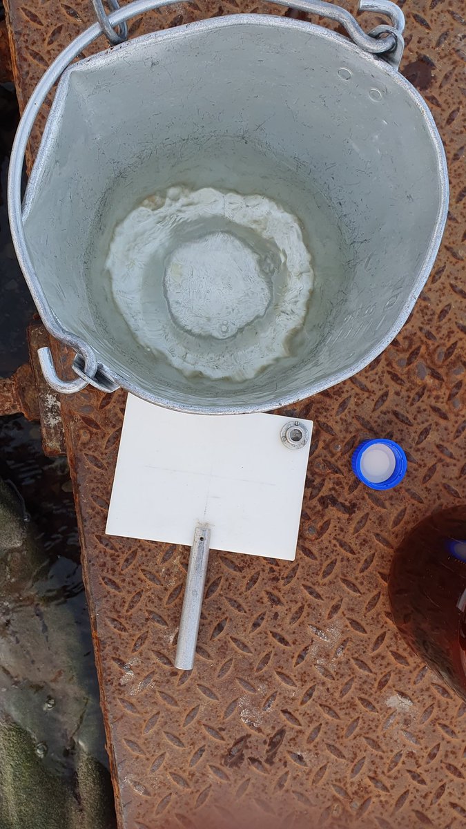 S14T0523 16:20 4,0°C SAL 11,4