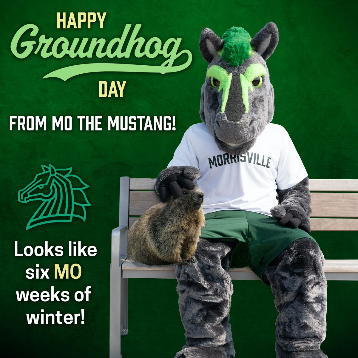 MoTheMustang1's tweet photo. Looks like six Mo weeks of winter! Happy Groundhog day. #GroundhogDay https://t.co/r2SJi8R2Ea