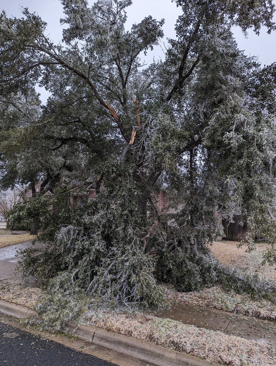 vrulkr's tweet photo. Nature messed with Texas. #icestorm https://t.co/0nXK1uUjRL