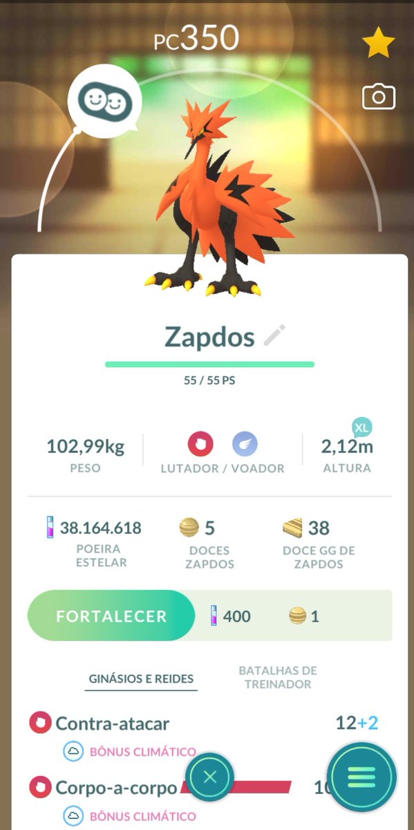 thiribeirope's tweet photo. Até que enfim #galar #Pokemon #PokemonGO #pokemongosp #PokemonGOfriends #ShinyPokemon https://t.co/ib5EjHWyGO