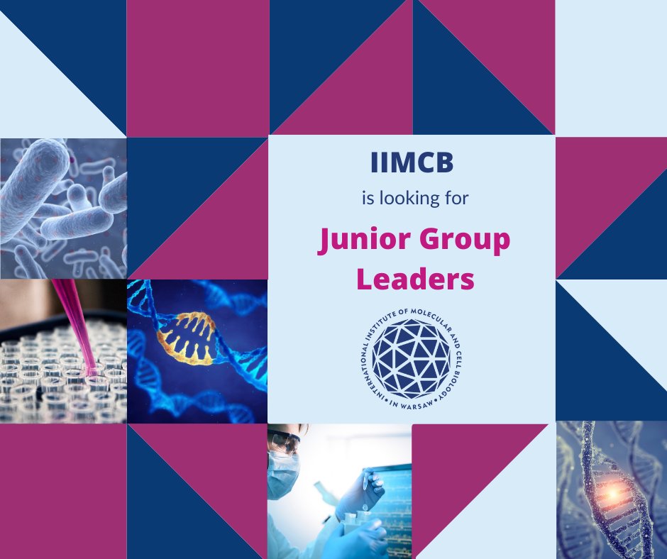 IIMCB_Poland's tweet photo. 📣 @IIMCB_Poland is recruiting‼
✔ Who? Junior Group Leaders✌
👉 All the details: https://t.co/yTGPaJKTOI
#IIMCB #TeamingForExcellence #HorizonEurope #research #development #Science https://t.co/2zWOx3AuTD