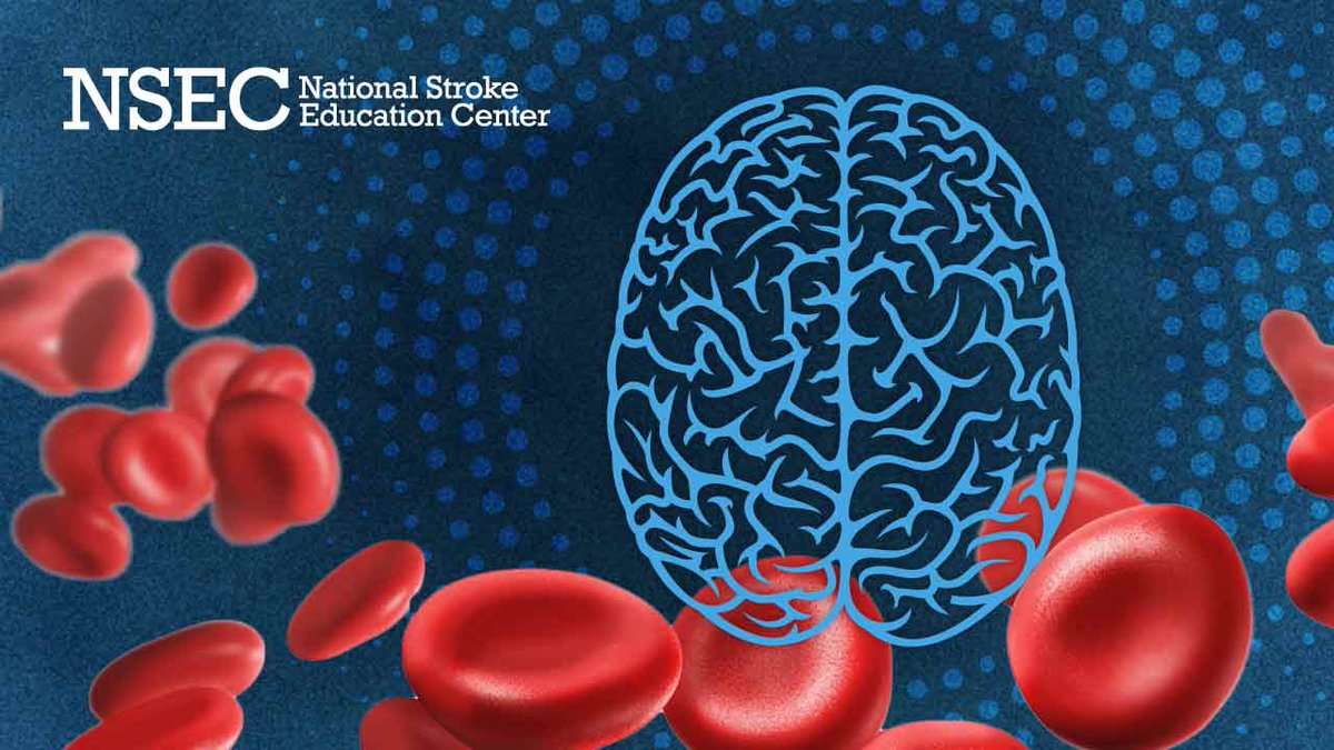 The Stroke Journey tweet media