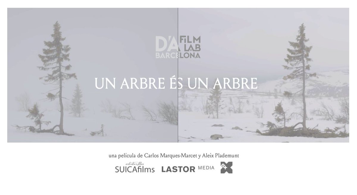 suicafilms's tweet photo. 'Un arbre és un arbre' seleccionat al @DAFilmLabBCN
Un film dirigit per Carlos Marques-Marcet i Aleix Plademunt.
Amb @lastormedia i #AXfilms i el suport de @CineICAA i @ElasticaFilms https://t.co/K7CRDRhnx3