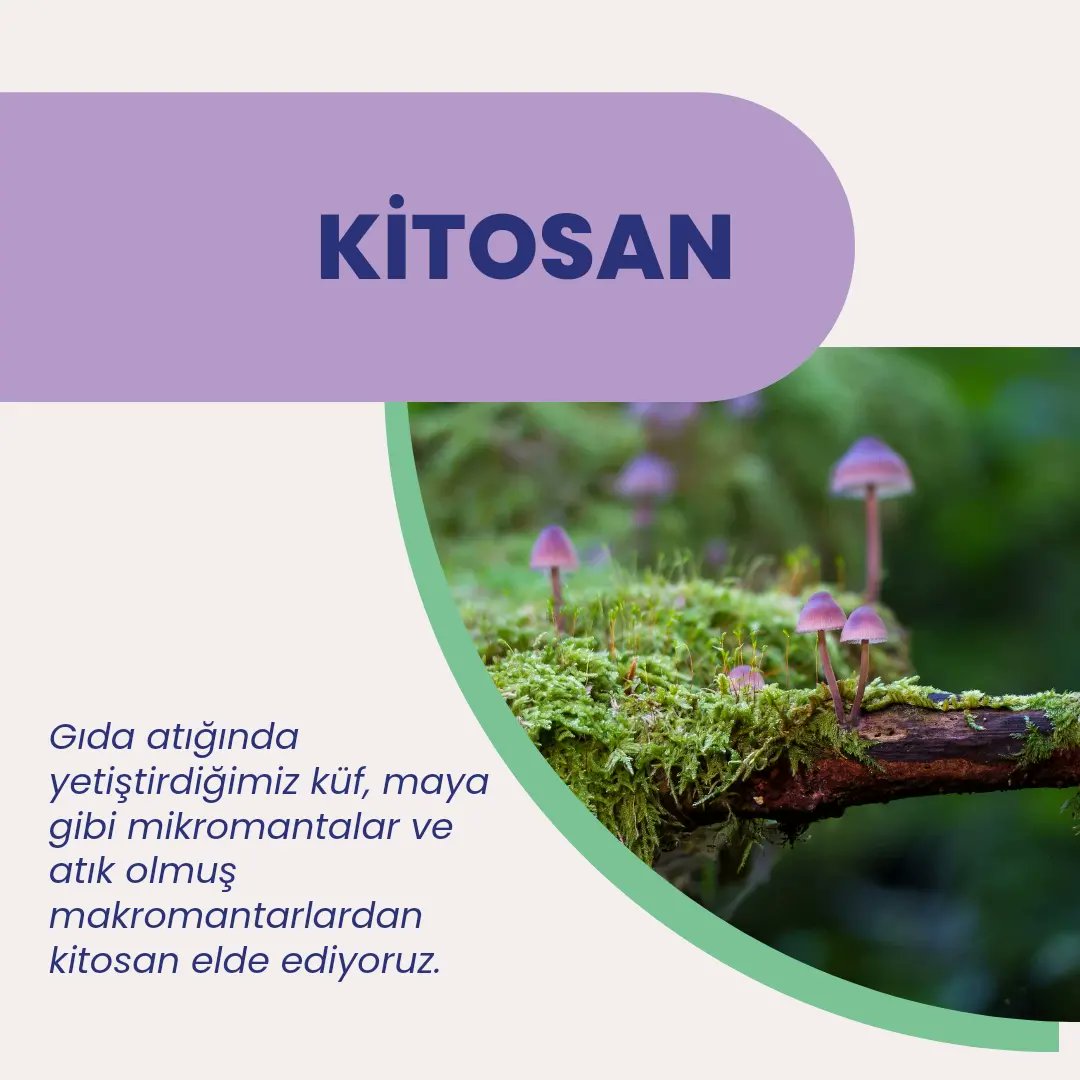 biopols's tweet photo. Kitosanı hangi kaynaktan elde ediyoruz?

#kitosan #chitosan #naturalsources #geridönüşüm #atık #fungi #macrofungi #microfungi #mantar #recycling #biotech #biotechnology #foodtechnology #savetheplanet https://t.co/IwP27F9WhZ