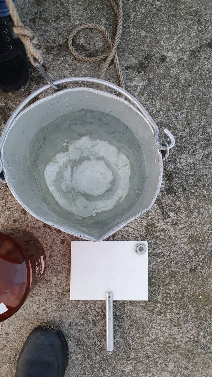 S15T0523 16:31 4,1°C SAL 11,6