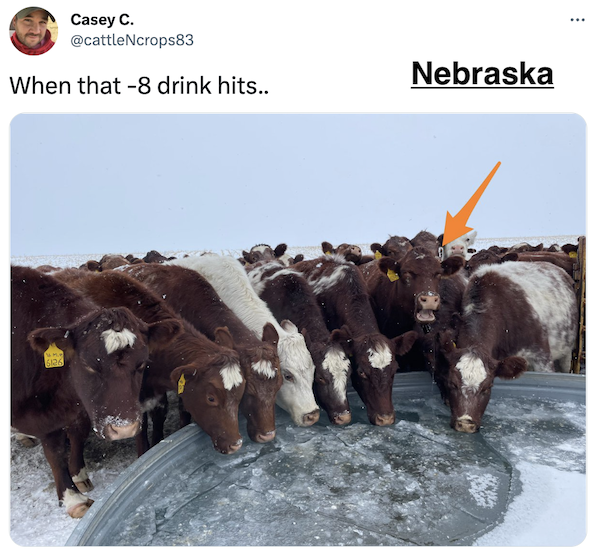 FarmTank tweet media