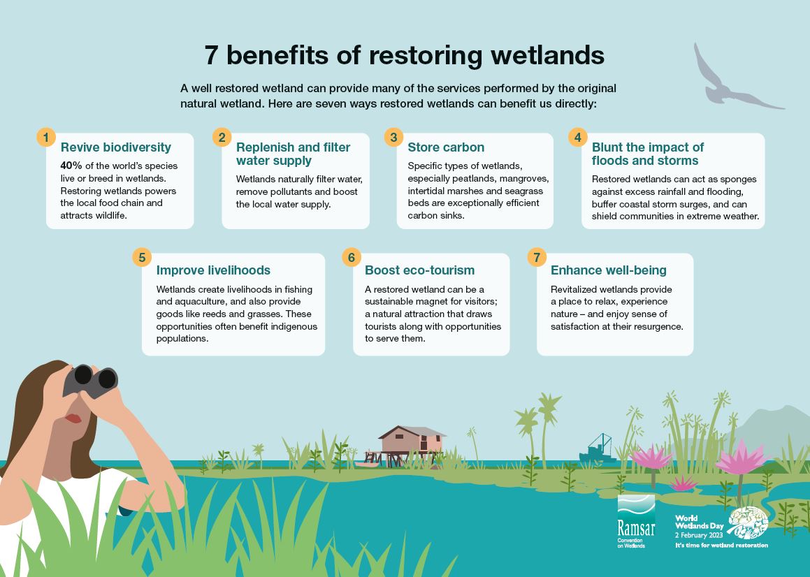 Why we restore wetlands.  #WorldWetlandsDay
