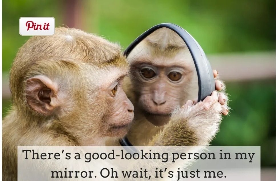 Career timelines can force us to see all of our professional journey,  warts and all . #pdsl <a href="/blathbreslin/">Bláthnaid Breslin @blathnaidb.bsky.social</a> <a href="/niamhickey/">Dr. Niamh Hickey</a> @patriciamannixm