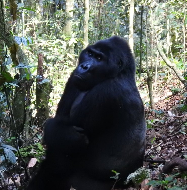 U S Ambassador To Uganda On Twitter Nature Tourism Is s Top u-s-ambassador-to-uganda-on-twitter-nature-tourism-is-s-top
