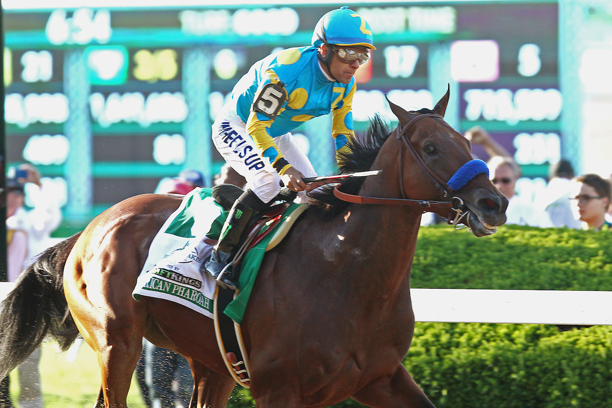 BreedersCup's tweet photo. Happy Birthday to Grand Slam winner, American Pharoah! 🎂 🎉 

📸 @eclipsesports https://t.co/LZ2PVsscTr