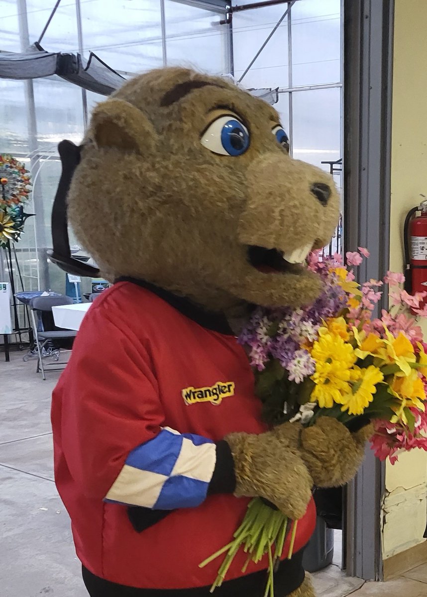 rockyviewbus's tweet photo. @AIR1061FM He threw away the snow shovel and picked up the flowers...   Early spring? #balzacbilly https://t.co/qAt81XSGHJ