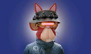 Jenae Wolff7(💙,🧡) (@jenaewolff7) on Twitter photo 