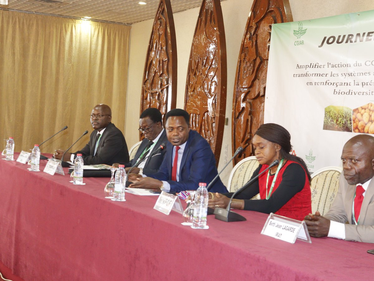 IITA_CGIAR's tweet photo. @CGIAR centres in #Cameroon organised an open day aimed at amplifying the actions of the CGIAR &amp; its  partners towards transforming #foodsystems in Cameroon &amp; beyond while enhancing environmental 
health &amp; #biodiversity, despite the ongoing #climate crisis. https://t.co/XKLiVEZRbk