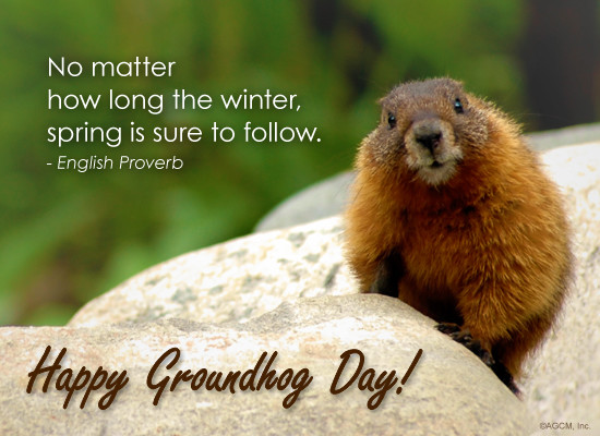 Happy Groundhog day! If you didn't get the prediction you were hoping for this morning, don't worry - he only has a 39% accuracy rate! 😉 #groundhogday #groundhogs #azizameraj #animallover #seasons #traditons