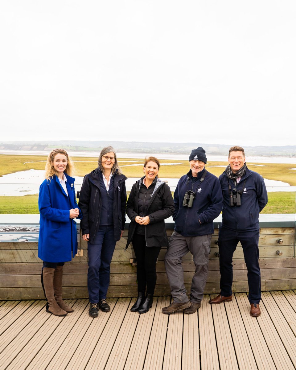 Kat Holmes (@KHolmie)  X