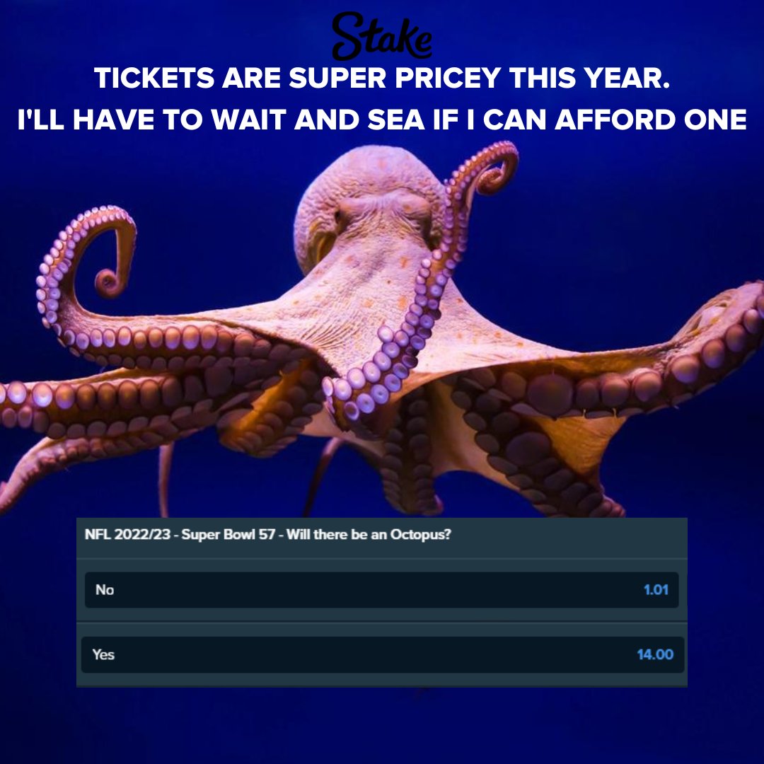 super bowl octopus bet